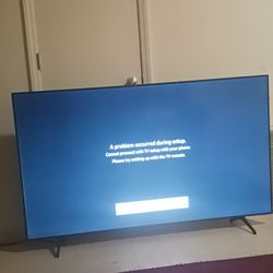 Samsung 65in Smart Tv