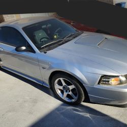 2002 Ford Mustang
