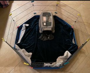 8-Panel Wire Pet Playpen with blue bottom