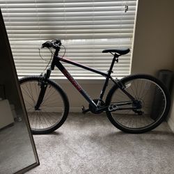 Schwinn & Nishiki Bikes