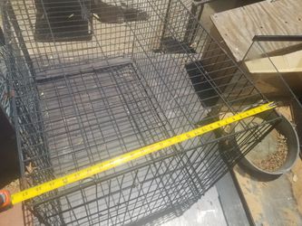 Huge Dog Kannel Cage