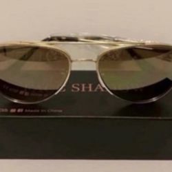 Aviator Sunglasses Gold & Brown