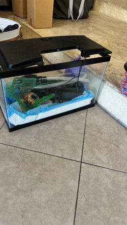 Aquarium for home