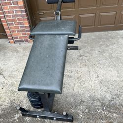 Hamstring Curl Machine- Parabody