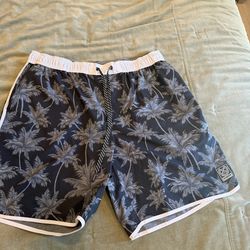 Dixxon Men’s board shorts XL