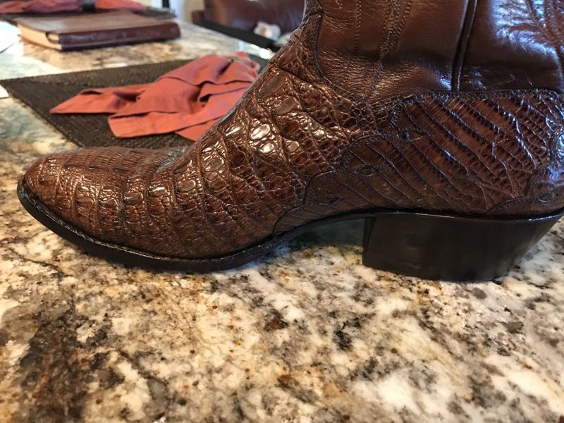 Hornback lizard deals boots