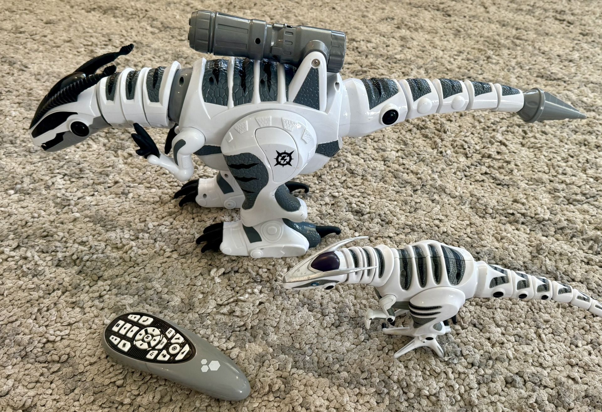 Dinosaurs