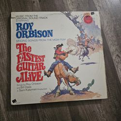 Frank frazetta album cover Vinyl