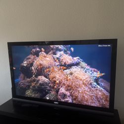 Vizio 55” - Older Heavy Model $50 OBO