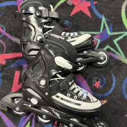 Converse Style Roller Blades