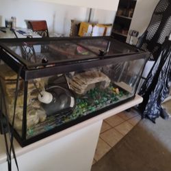 Turtle Or Fish Tank