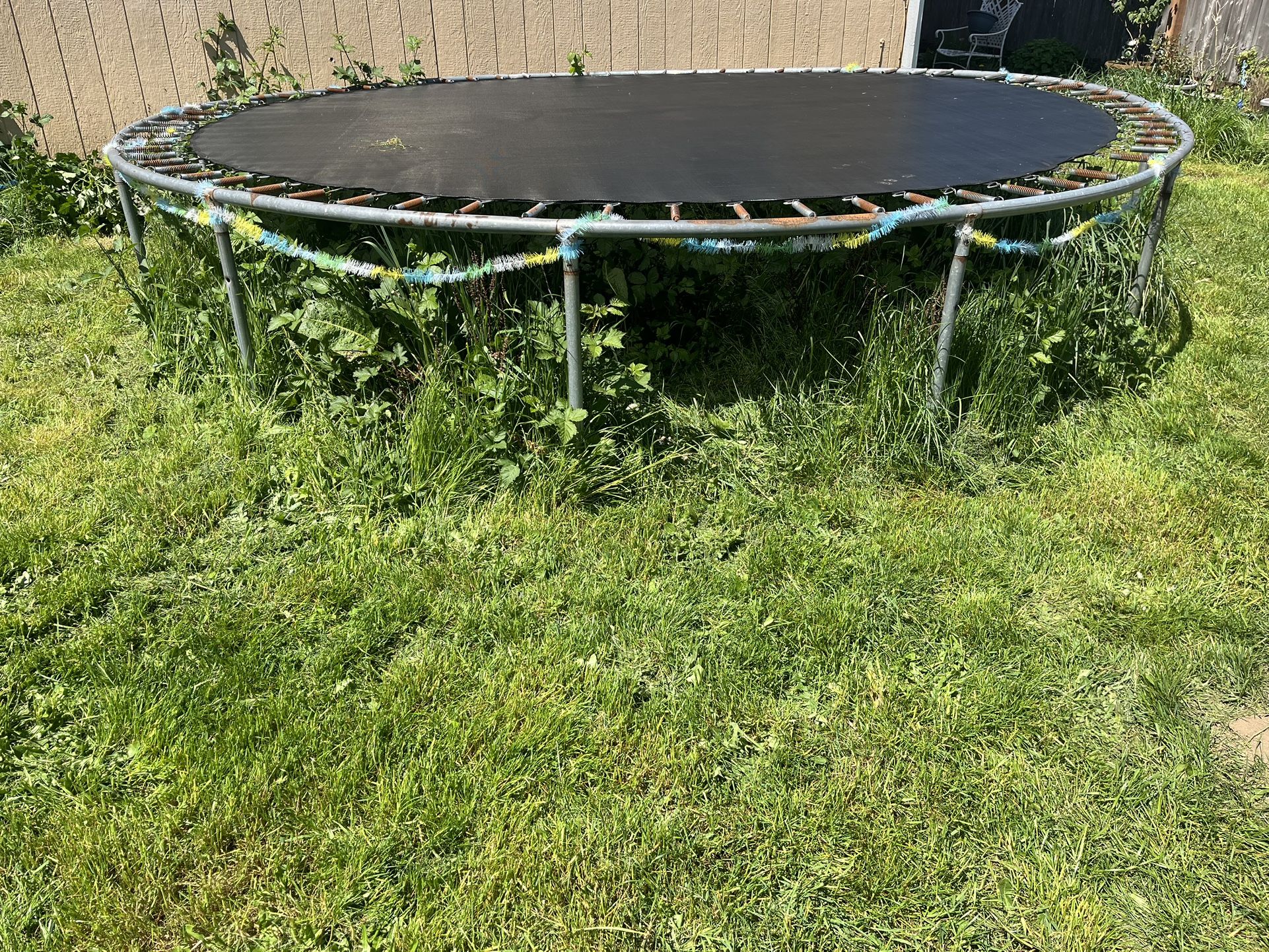 Free Trampoline