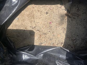 Free Sand!
