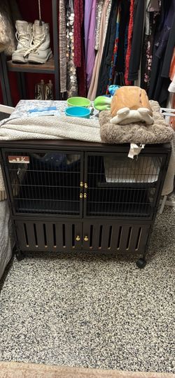 Ferret cage