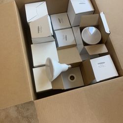 LED Flood Light Bulbs 