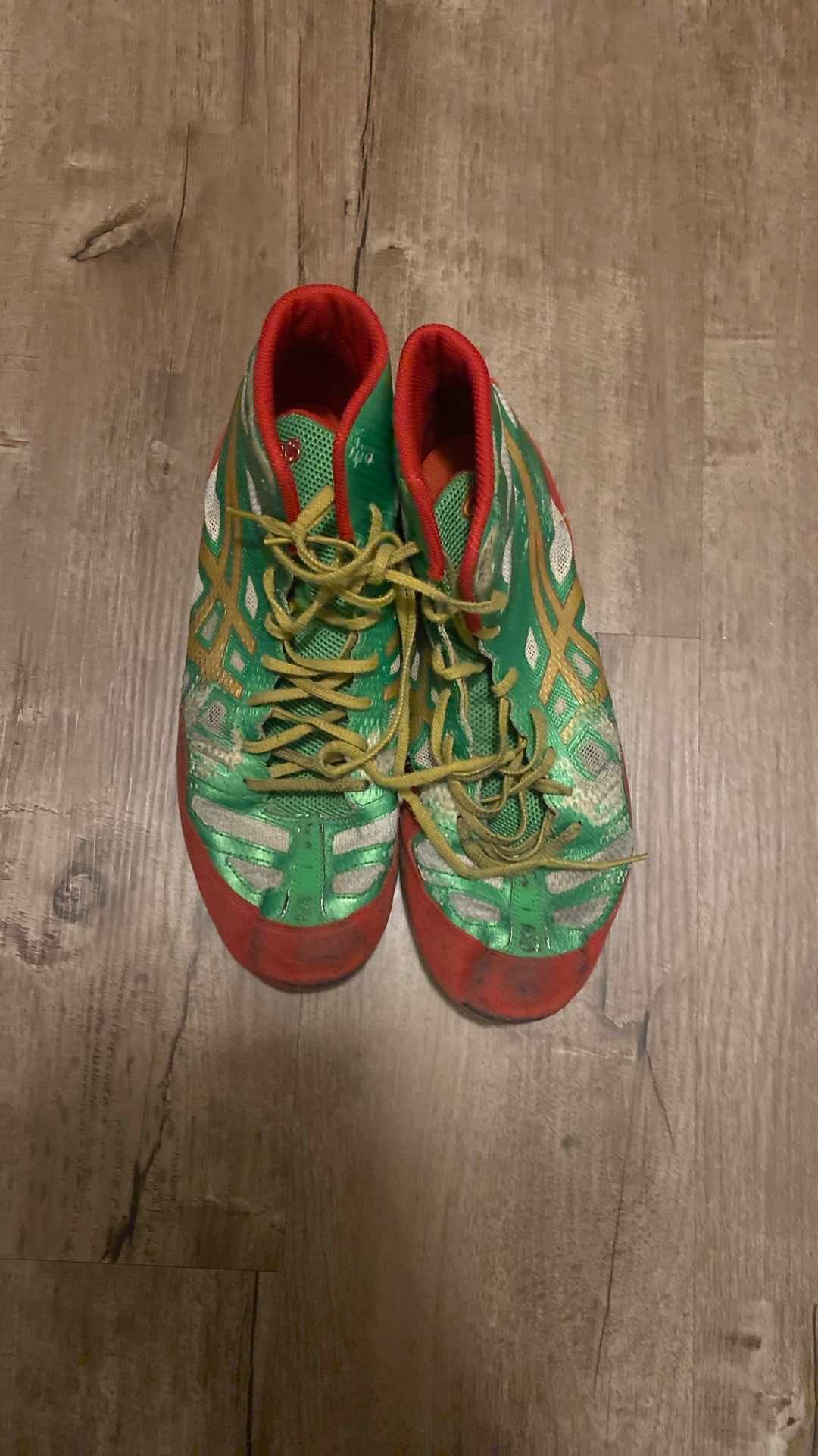Rare ASICS Wrestling Shoe Size 10