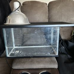Tank And Lamp 