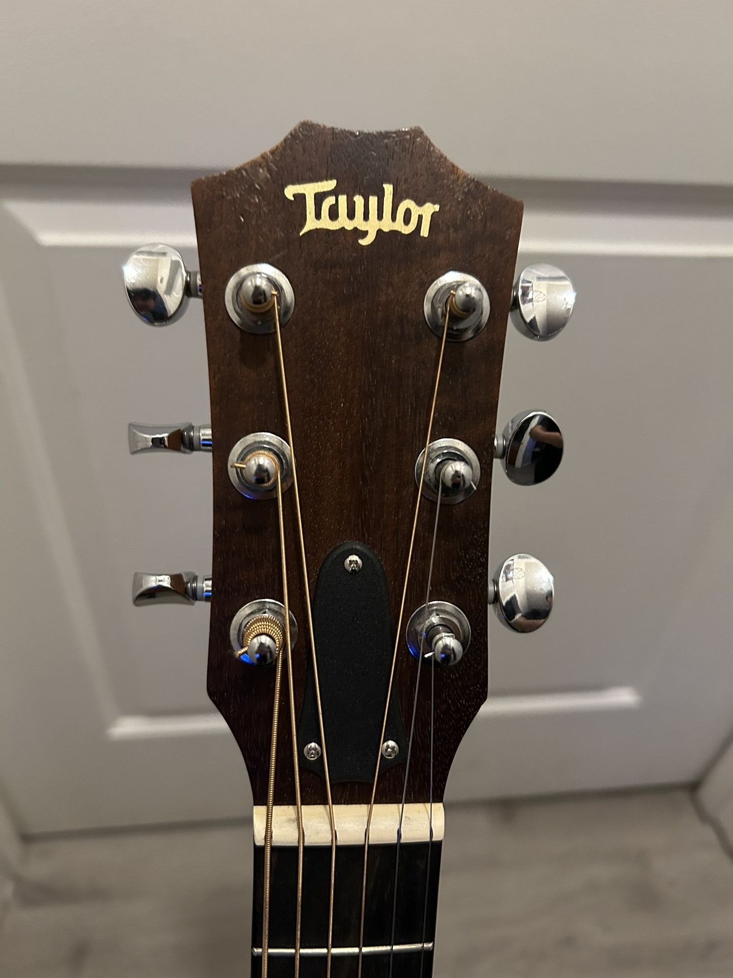 Taylor gs mini mahogany / with bag