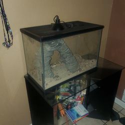Fish Tank 