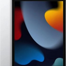 iPad 
