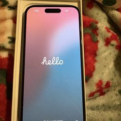 iPhone 16 