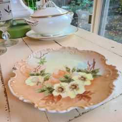 Cottage core limoge style floral Porcelain hand painted plate ladybug Shabbychic anthro fall harvest