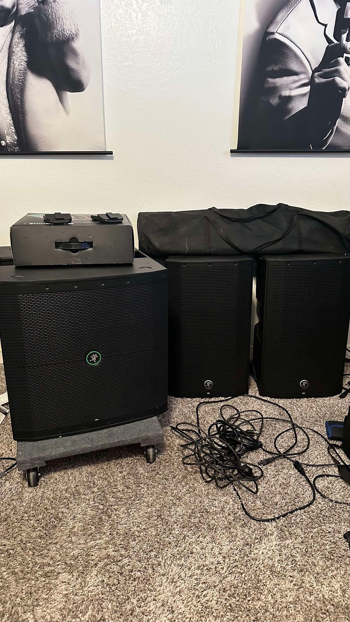 Mackie Thump And subwoofer DJ speakers