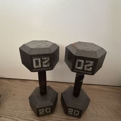 Two 20lb Weights 