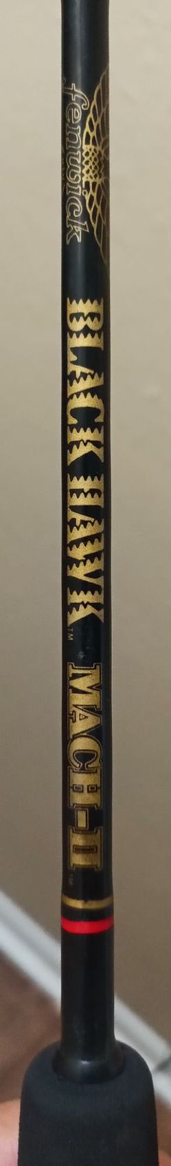 Fenwick Blackhawk Rod od
