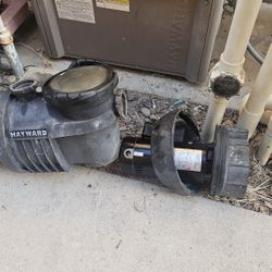 Hayward Northstar Pool Motors