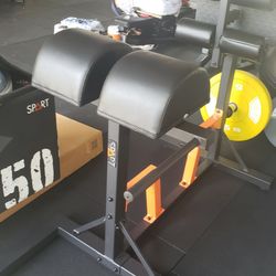 New GHD - GlutesHamstring Developer