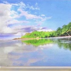 85 Tv $55 Down On Financing Free Delivery Six Month Warranty 85 Sony Mini Led Tv 120 Hz Sony Bravia 5 