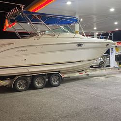 Sea Ray Amberjack 290