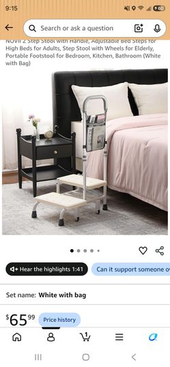 Step Stool with Handle and Bag