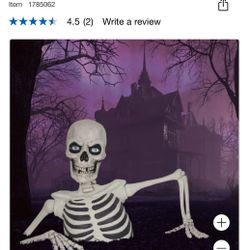 Halloween Skeleton 