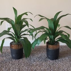 Artificial Plants For Sale