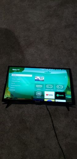 30 Inch Roku Tv