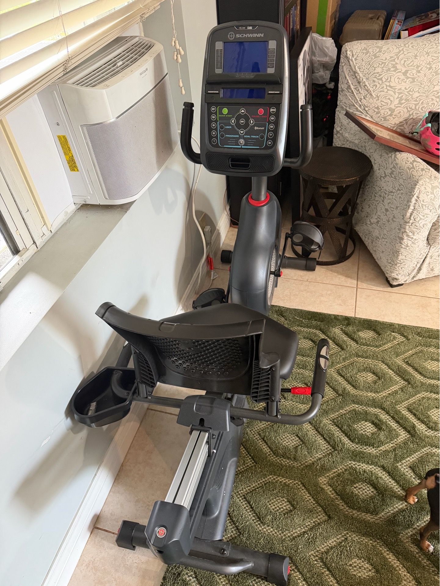 Schwinn 270 Recumbent Bike
