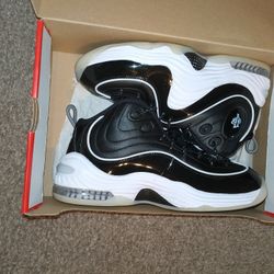 Nike Air Penny 2 / $80