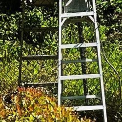 3 Ladders 