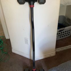 Hex Curl Bar And 20 Pound Hex Weights