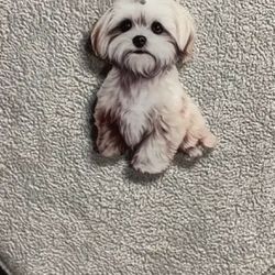 White Cute Puppy Decor (WDWH)