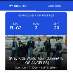 StrayKids VIP