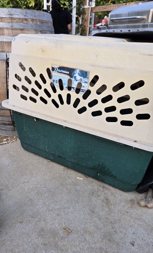 Dog Kennel