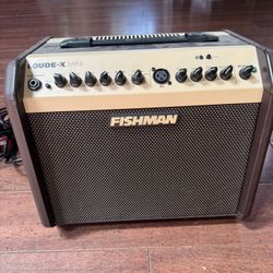Fishman loudbox mini Acoustic guitar Amp