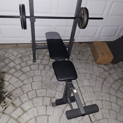 standard  bench press n weights