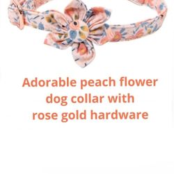 Adorable Peach Flower Dog Collar, Rose gold Hardware, Small