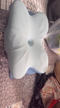 Ergo pillow cost me $60.00