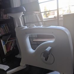 Flexispot Under Desk Bike