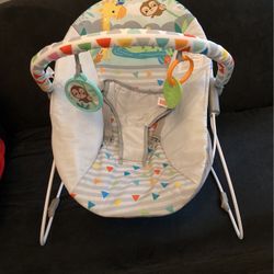 Baby Bouncer 
